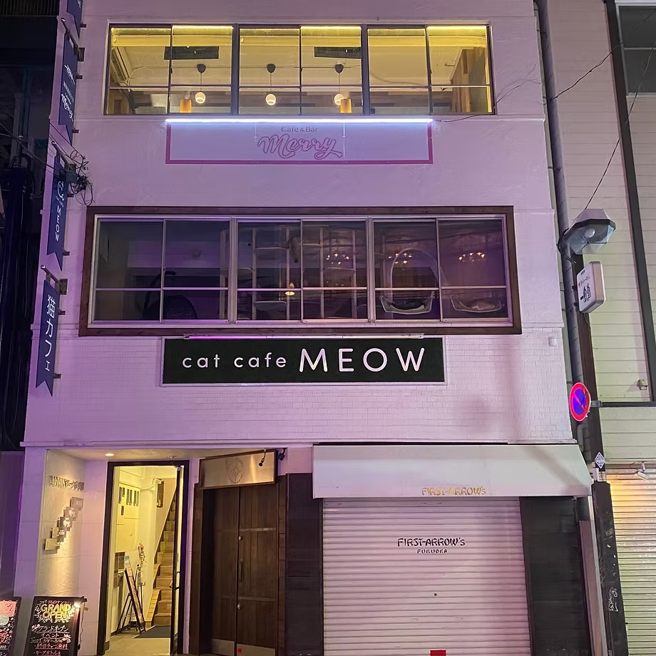天神で人気のキャバクラ30選 18位Cafe&Bar Merry