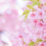 キャバ嬢が引退を考える6つの理由|平均引退年齢と進路について