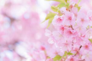 キャバ嬢が引退を考える6つの理由｜平均引退年齢と進路について