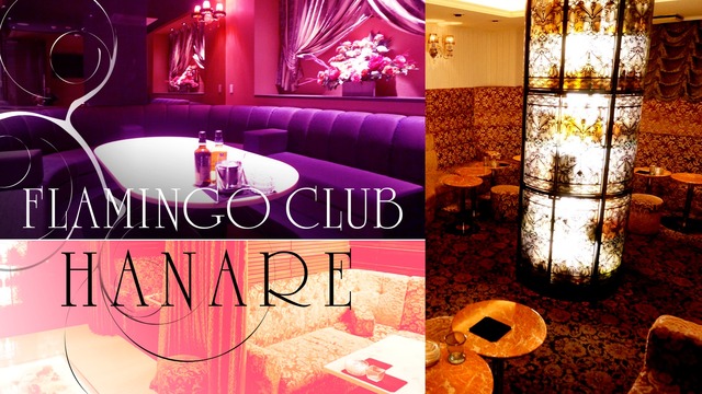 花畑町　キャバクラ　第11位　FLAMINGO CLUB HANARE