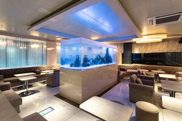 すすきの ニュークラブ 体入 第5位　CLUB EXCELLENT